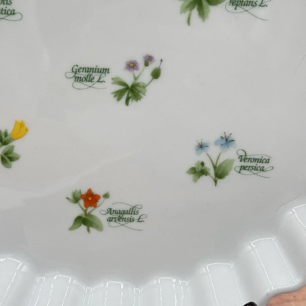 Anchor Ovenware Ceramic Quiche Pie Tart Floret Dish Pan Vtg Botanical Cottage
